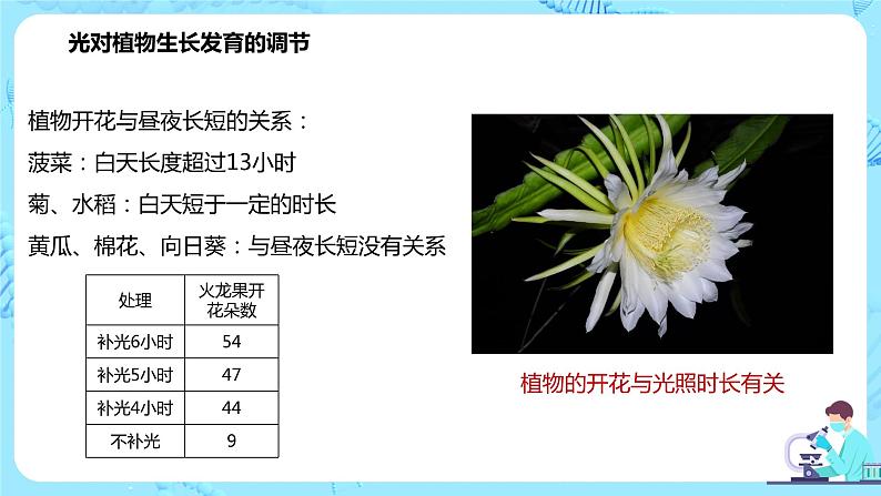 第四节《环境因素参与调节植物的生命活动》课件第7页