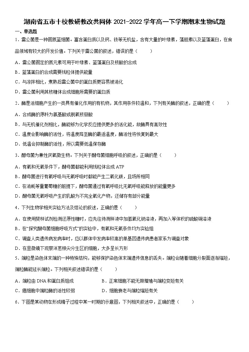 2022湖南省五市十校教研教改共同体高一下学期期末生物试卷含答案01