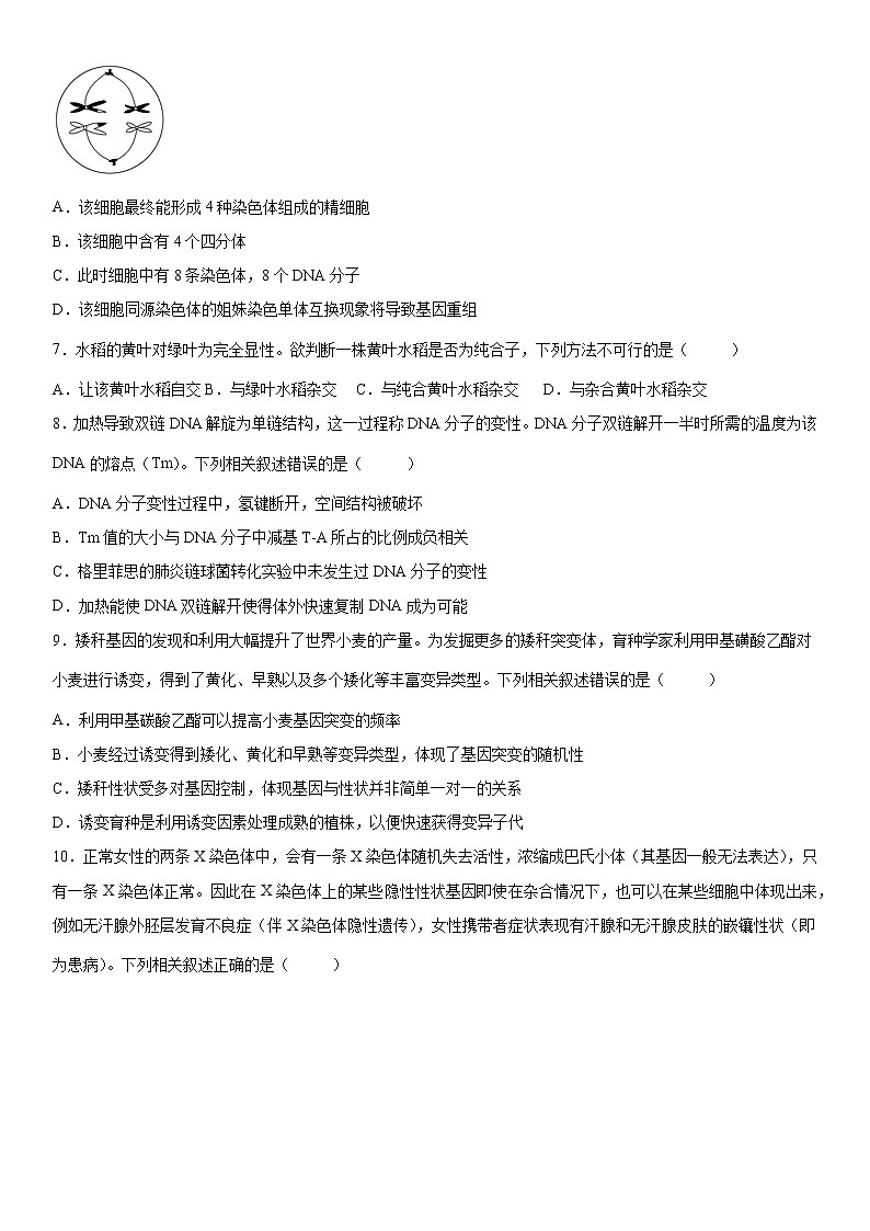 2022湖南省五市十校教研教改共同体高一下学期期末生物试卷含答案02
