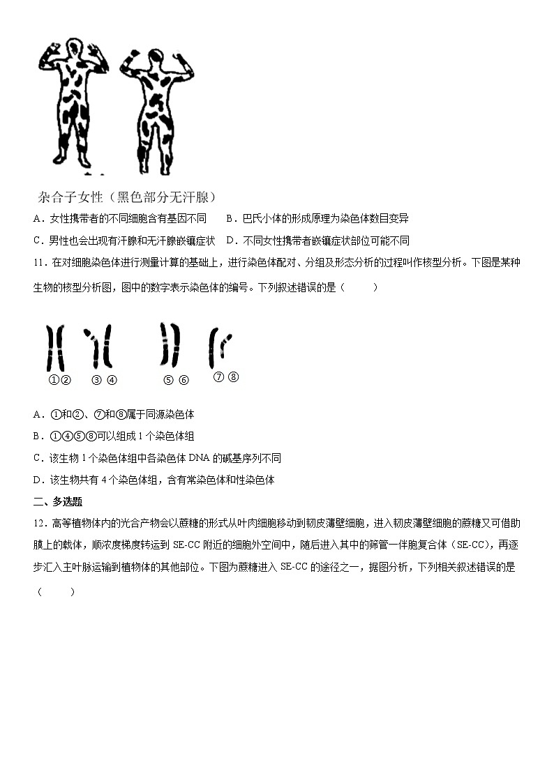 2022湖南省五市十校教研教改共同体高一下学期期末生物试卷含答案03
