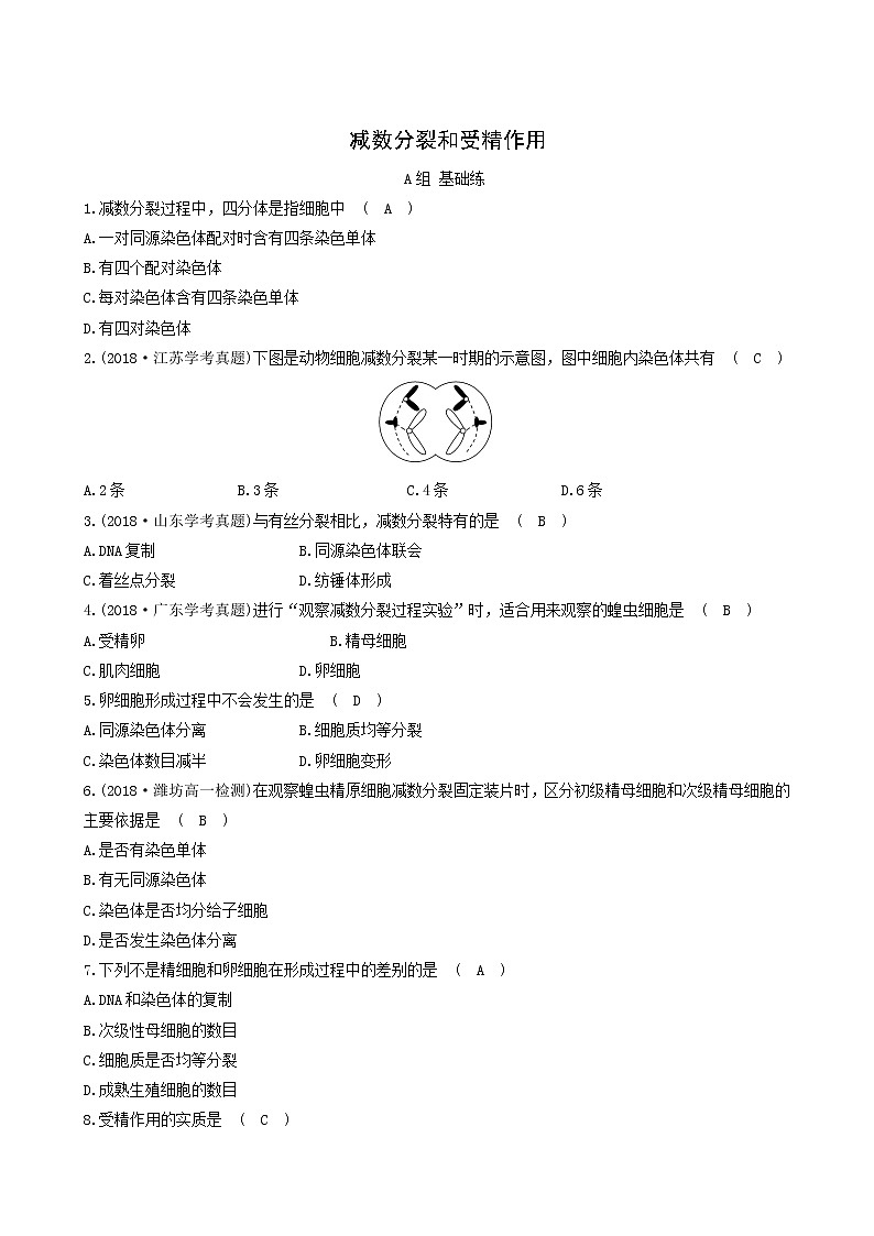 人教版高中生物必修2分层训练2.1减数分裂和受精作用含答案第1页