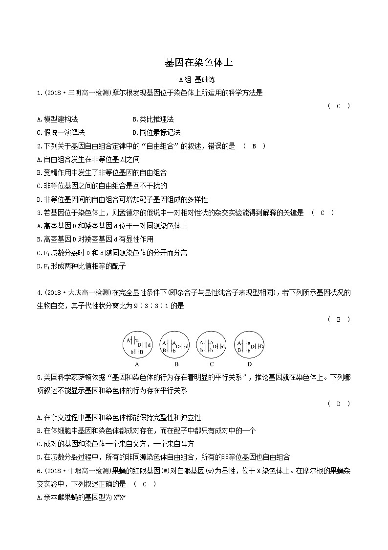 人教版高中生物必修2分层训练2.2基因在染色体上含答案第1页