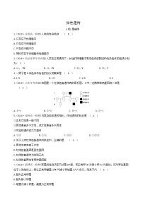 生物人教版 (2019)第3节 伴性遗传课时训练