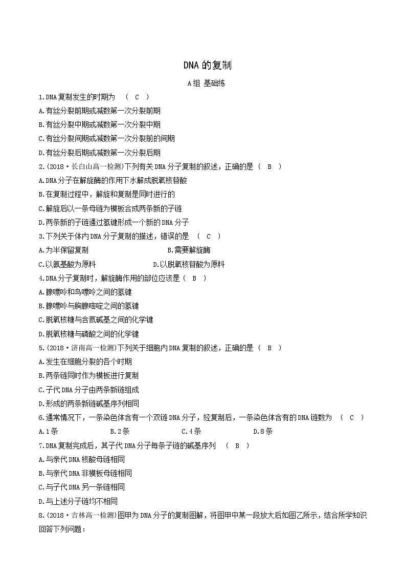 人教版高中生物必修2分层训练3.3dna的复制含答案第1页