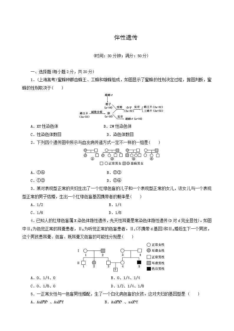 人教版高中生物必修2课时达标训练5伴性遗传含答案01