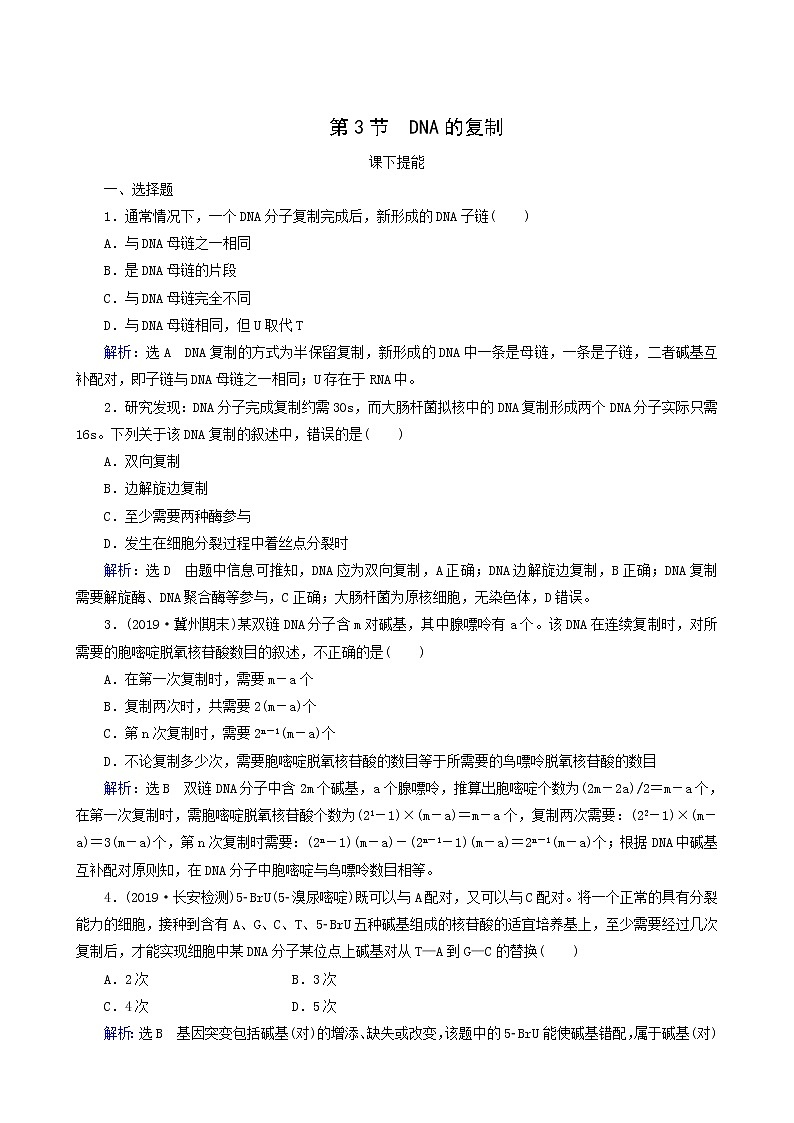 人教版高中生物必修2第3节dna的复制练习含答案第1页