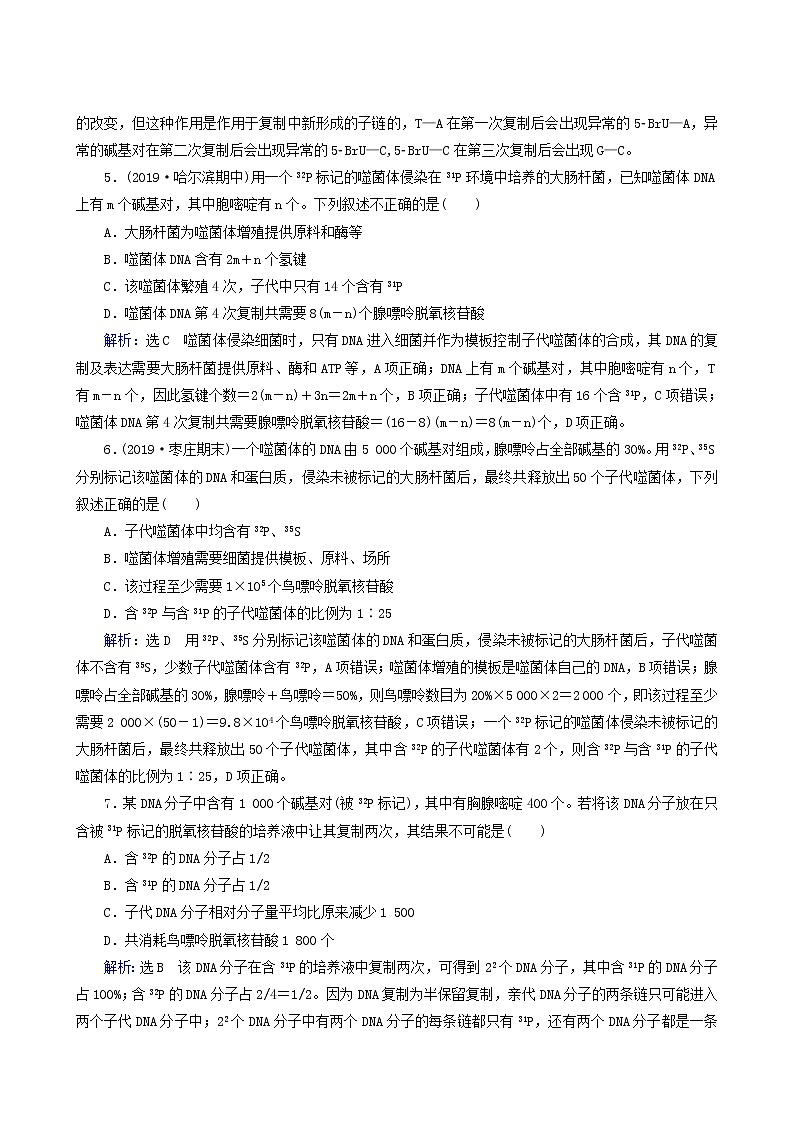 人教版高中生物必修2第3节dna的复制练习含答案第2页