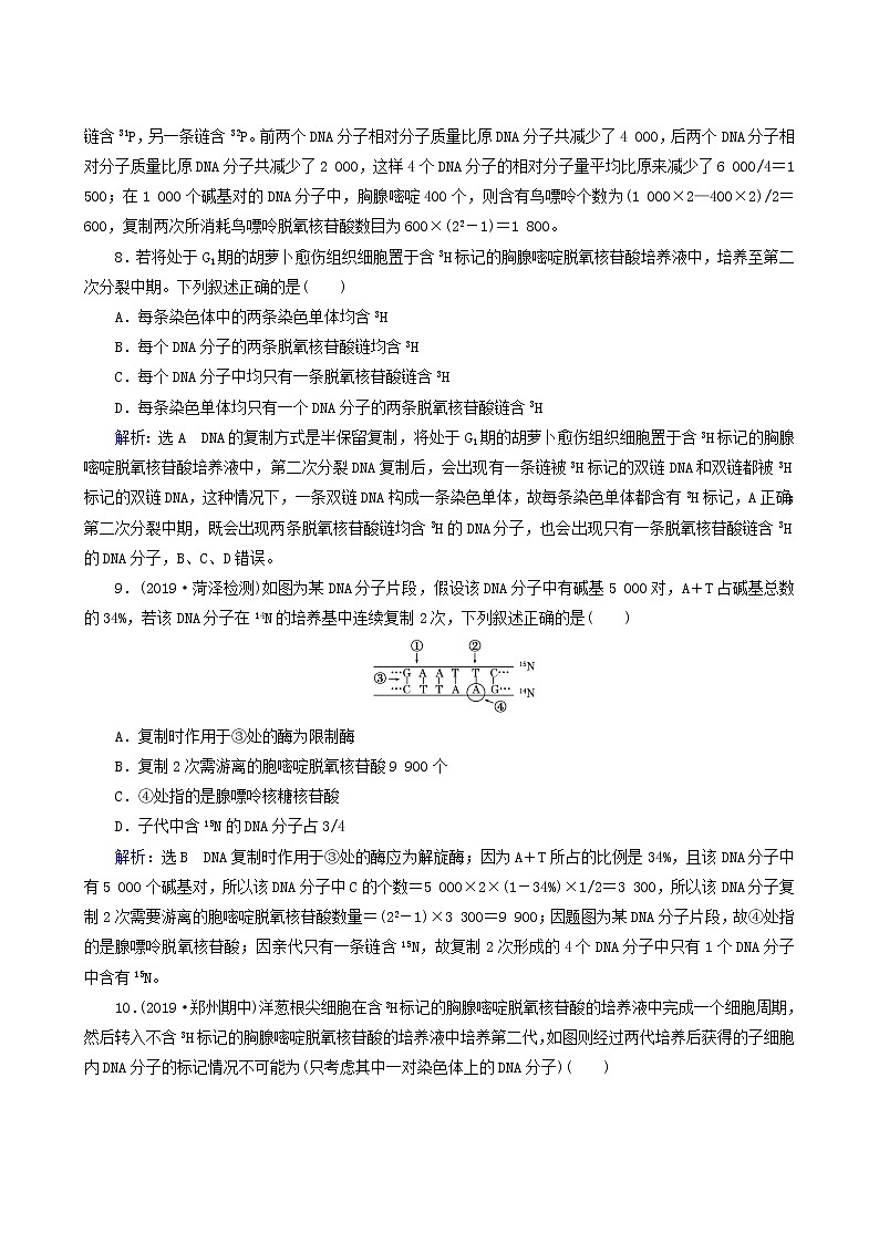 人教版高中生物必修2第3节dna的复制练习含答案第3页