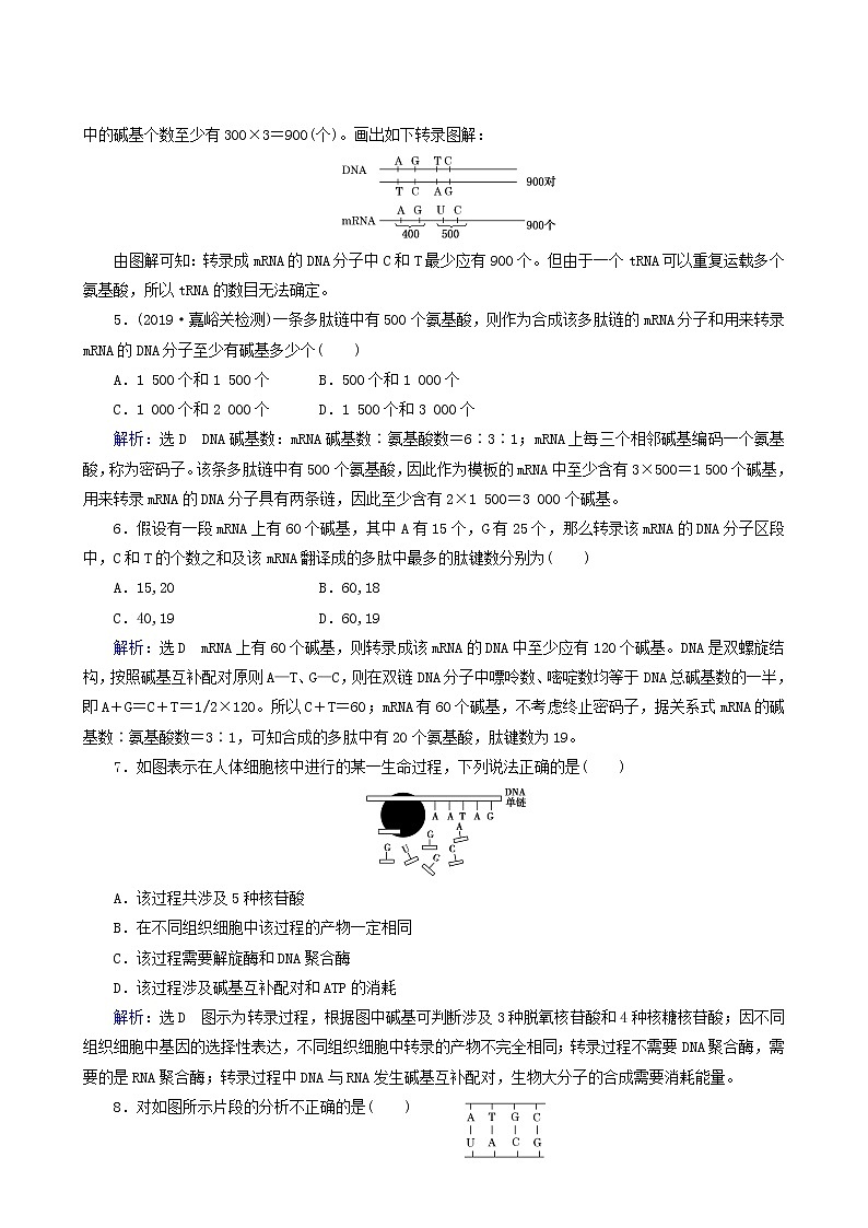 人教版高中生物必修2第4章基因的表达第1节基因指导蛋白质的合成练习含答案第2页