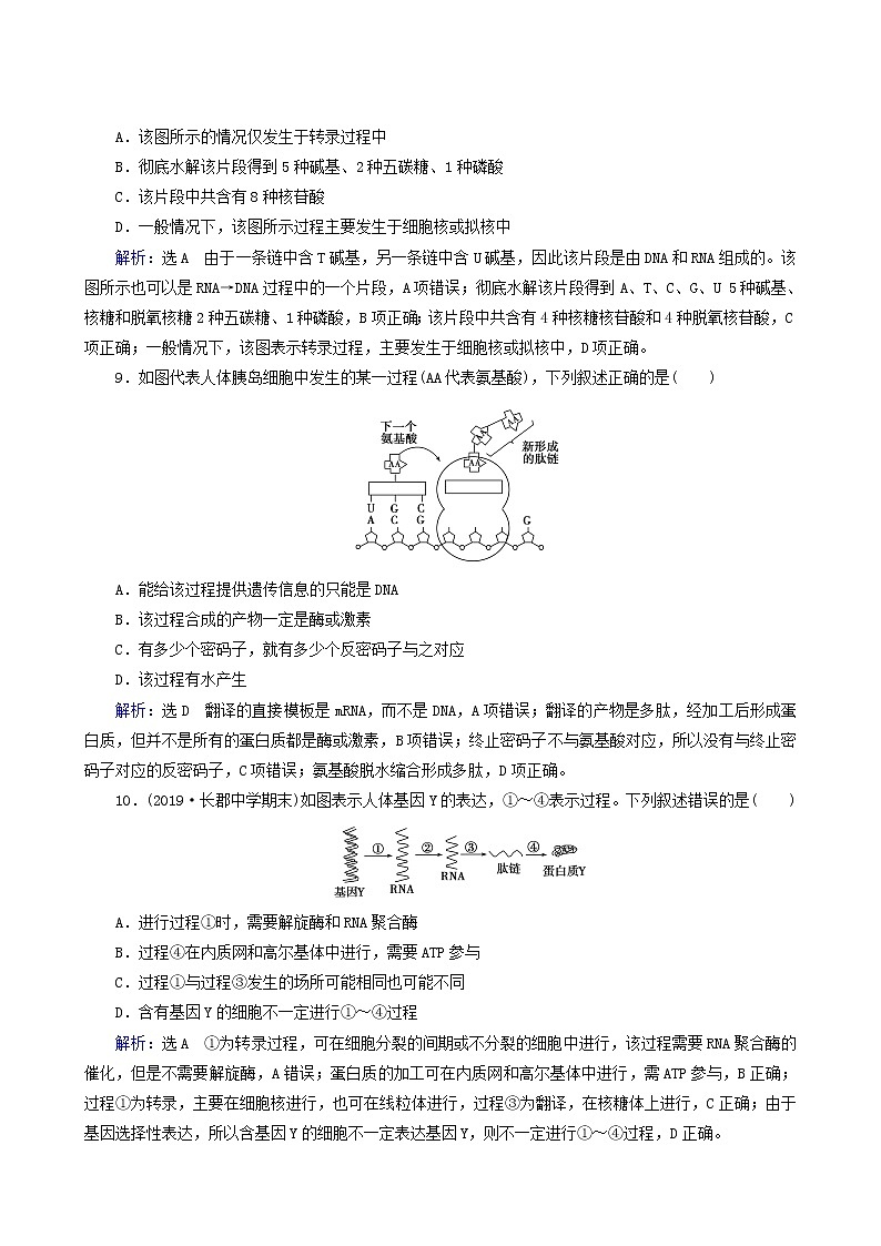 人教版高中生物必修2第4章基因的表达第1节基因指导蛋白质的合成练习含答案第3页