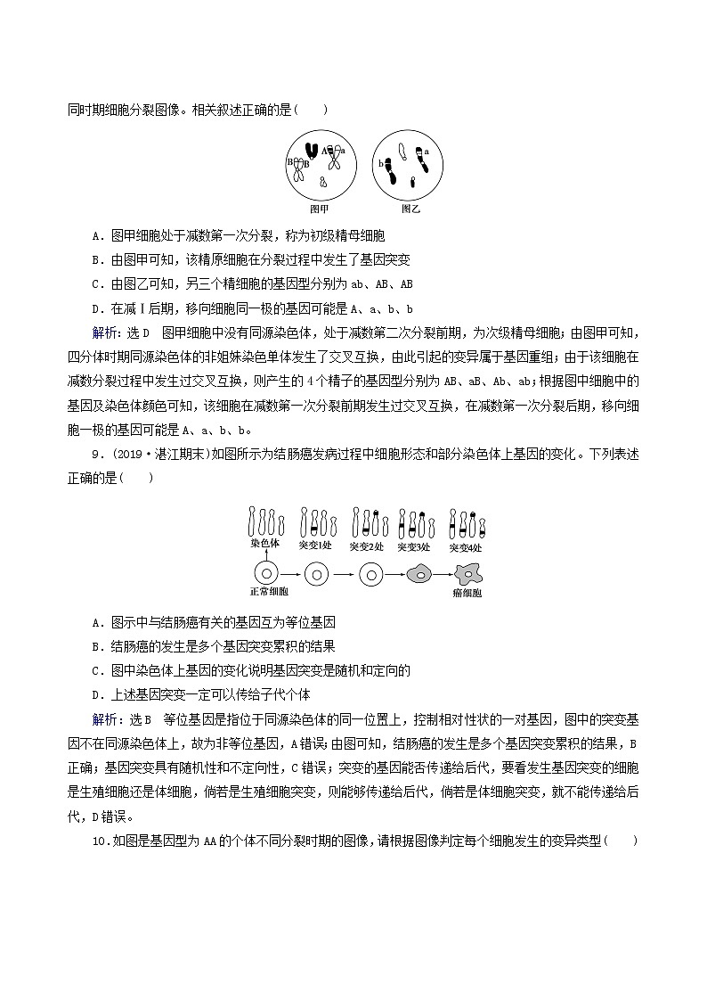 人教版高中生物必修2第5章基因突变及其他变异第1节基因突变和基因重组练习含答案03