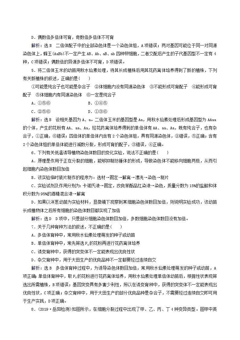 人教版高中生物必修2第5章基因突变及其他变异第2节染色体变异练习含答案第2页