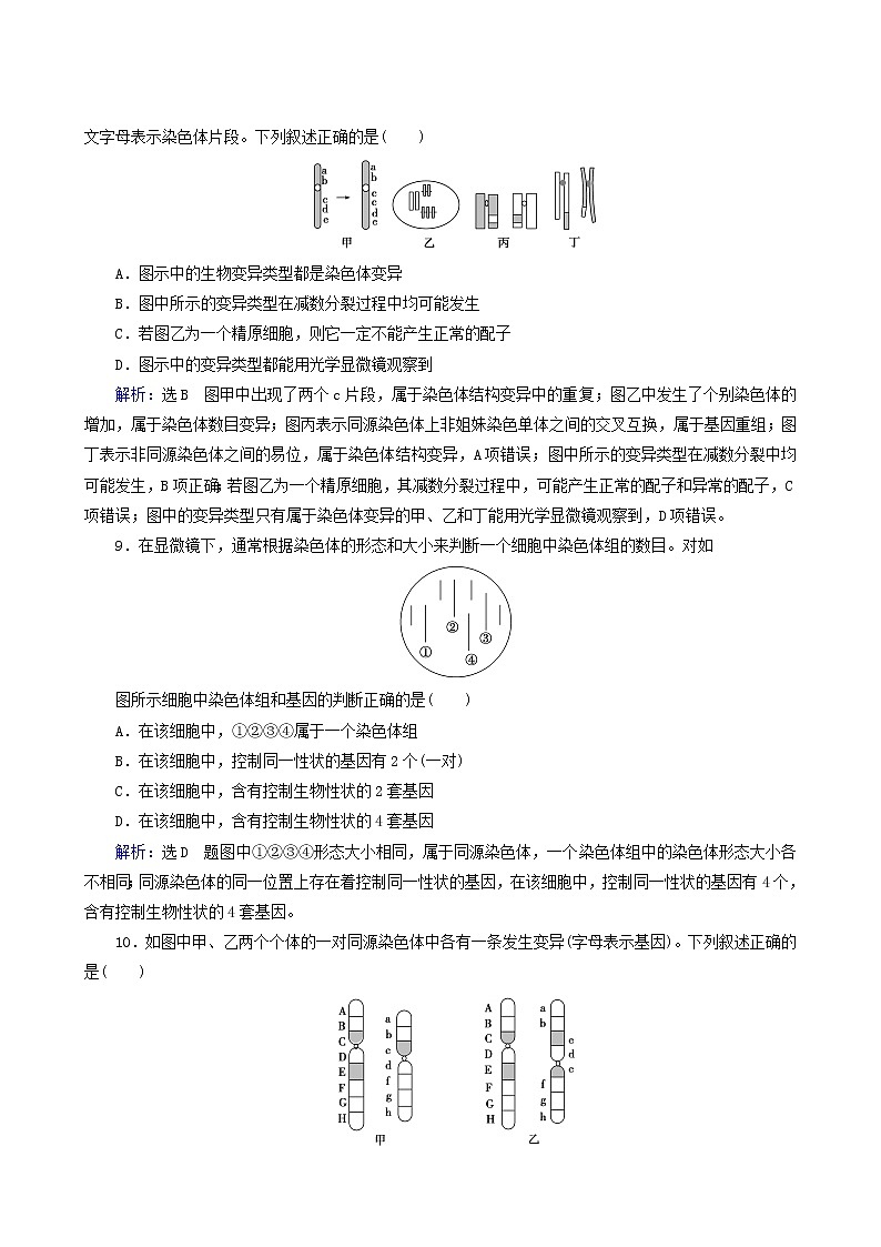 人教版高中生物必修2第5章基因突变及其他变异第2节染色体变异练习含答案第3页