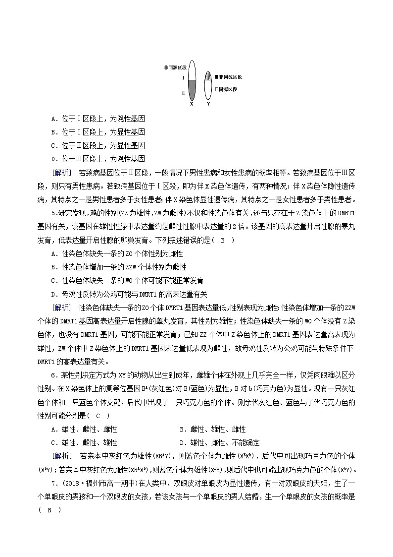 人教版高中生物必修2第2章基因和染色体的关系第3节伴性遗传练习含答案第2页