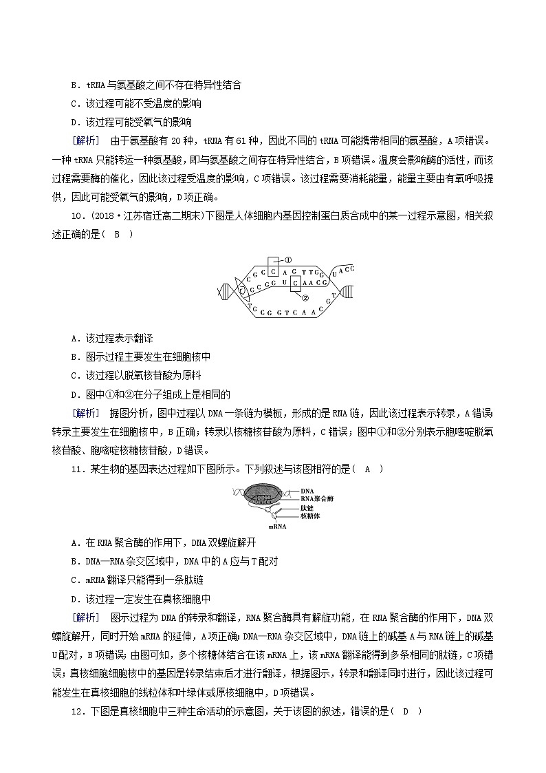 人教版高中生物必修2第4章基因的表达第1节基因指导蛋白质的合成练习含答案03