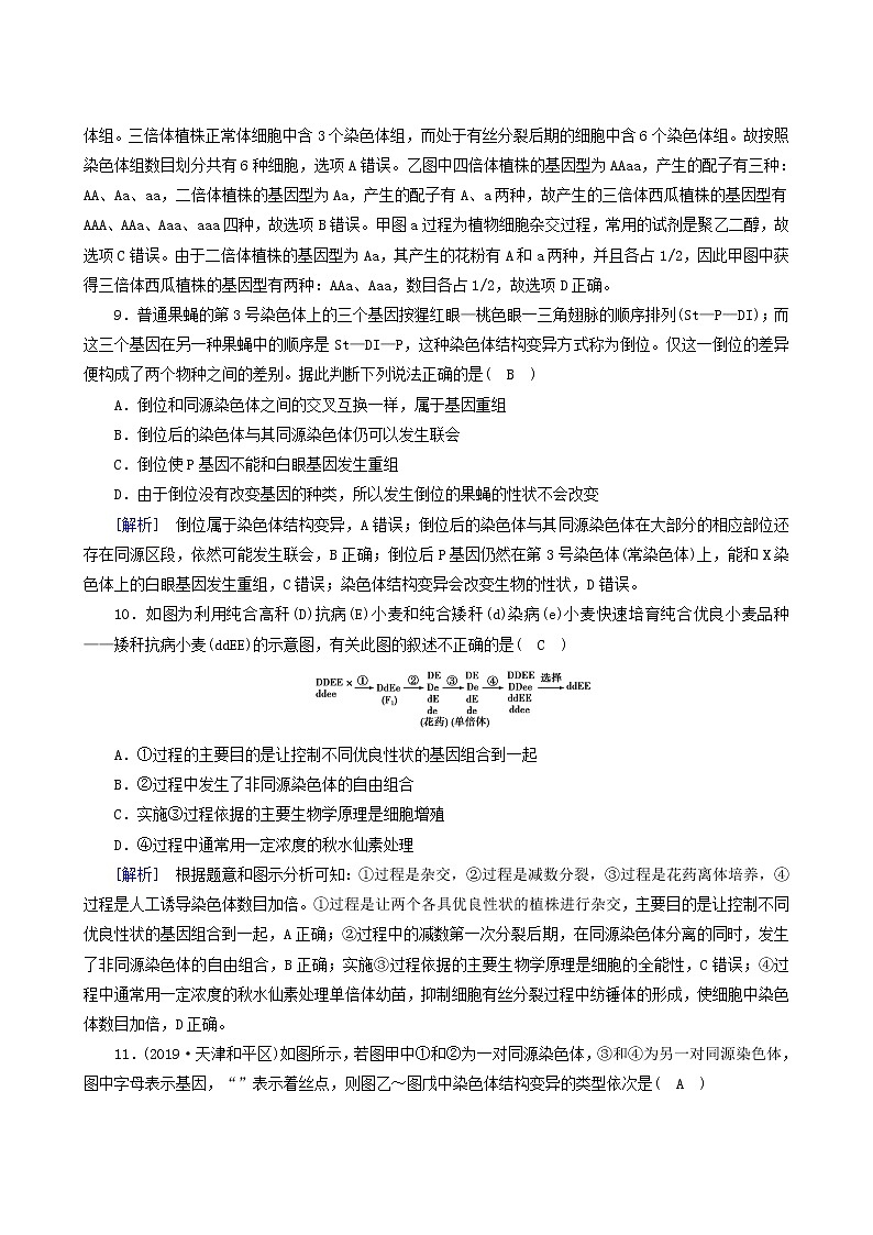 人教版高中生物必修2第5章基因突变及其他变异第2节染色体变异练习含答案03