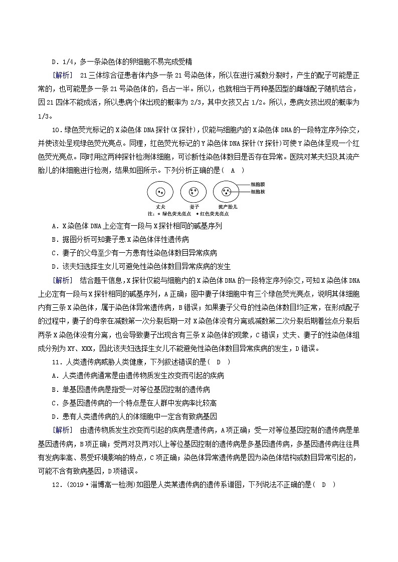 人教版高中生物必修2第5章基因突变及其他变异第3节人类遗传病练习含答案第3页