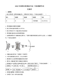 广东省深圳市2021-2022学年高二下学期期末考试 生物试题及答案