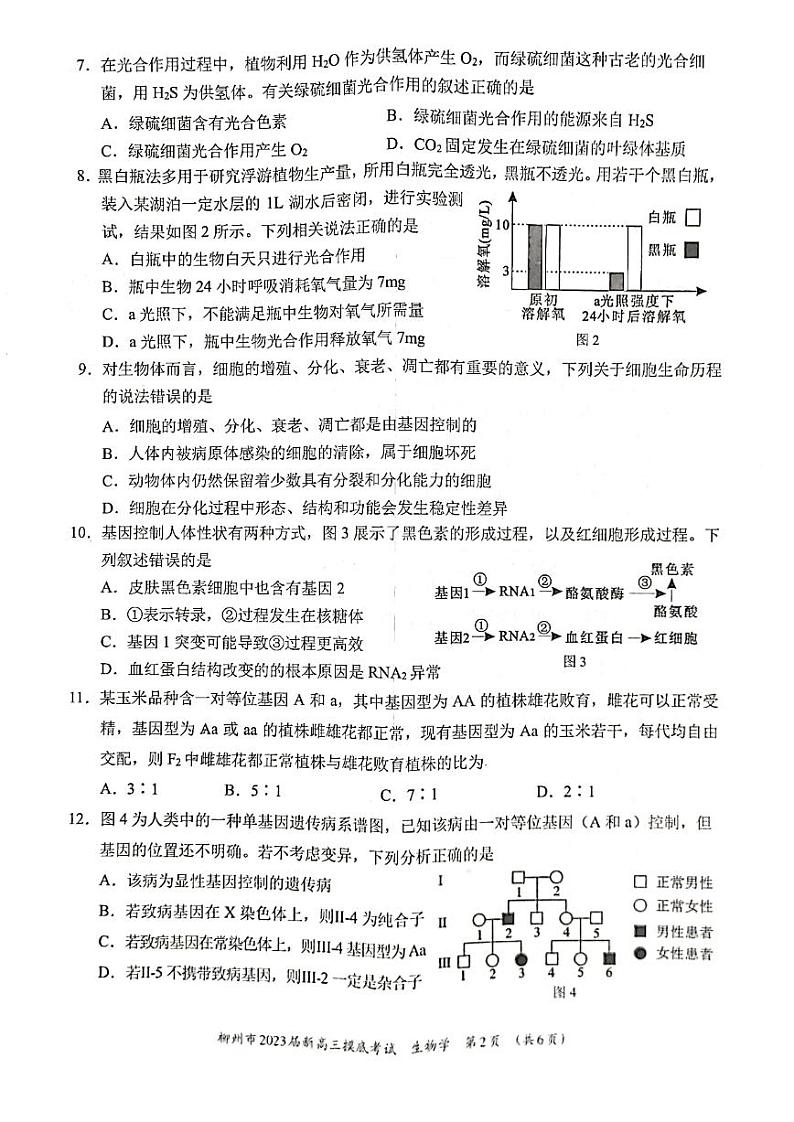 柳州市2023届新高三摸底考试生物试题含答案02