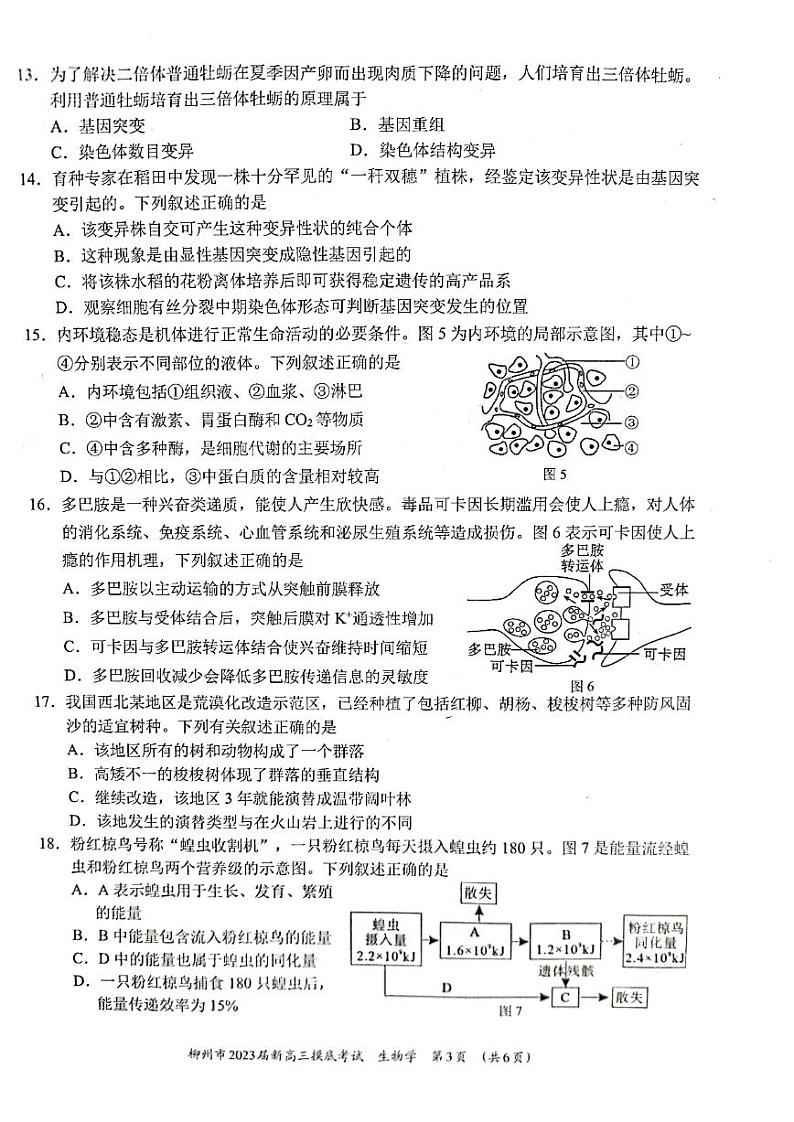 柳州市2023届新高三摸底考试生物试题含答案03
