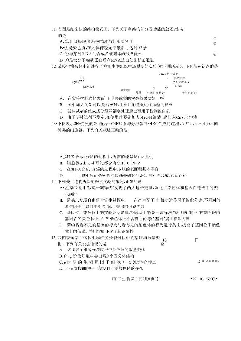 洛阳创新发展联盟2023届高三摸底考试生物试题含答案第3页