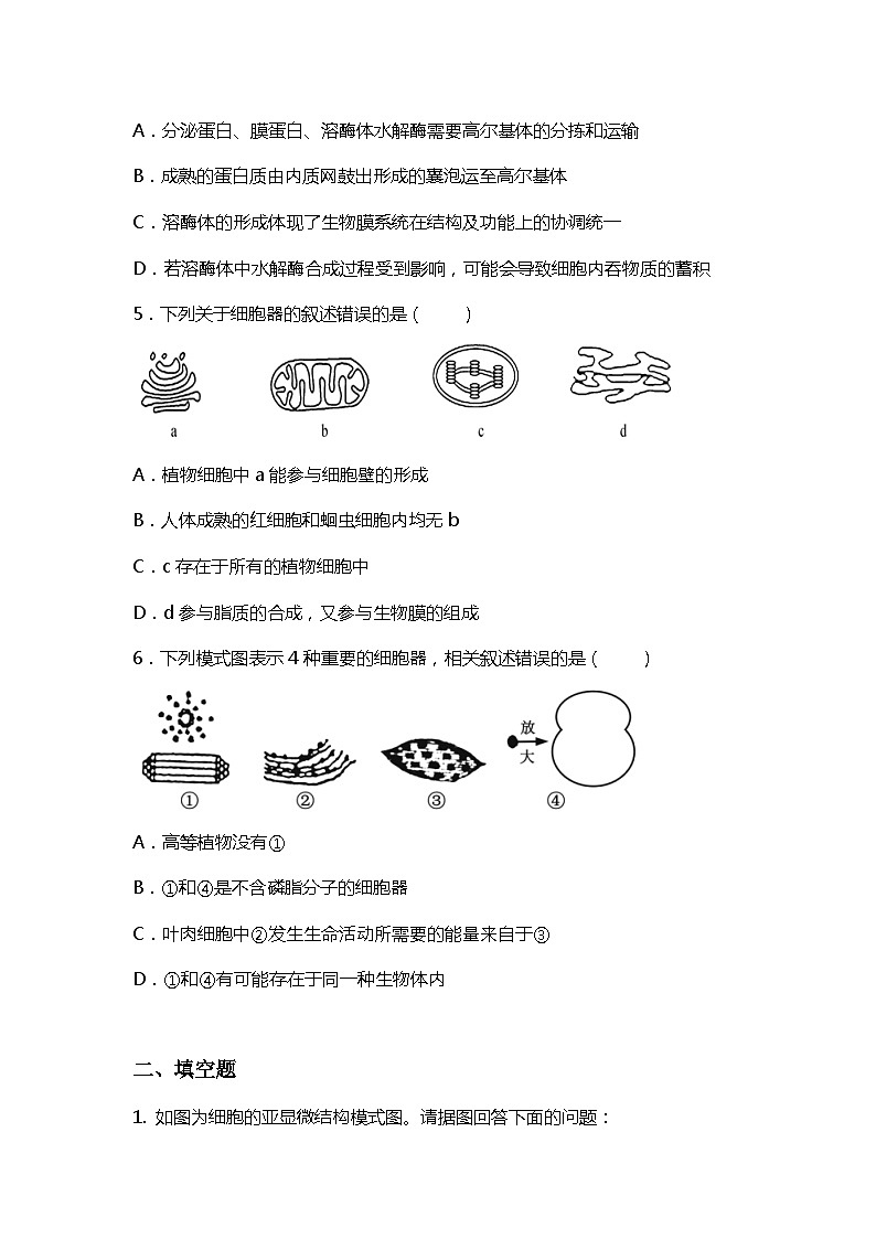 3.2.1《细胞器之间的分工与合作》第1课时课件+教案+练习02