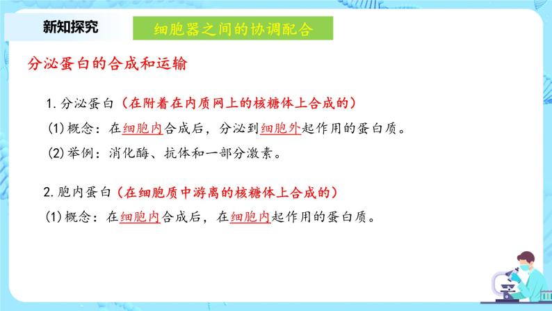 3.2.2《细胞器之间的分工与合作》第2课时教案+课件+练习06