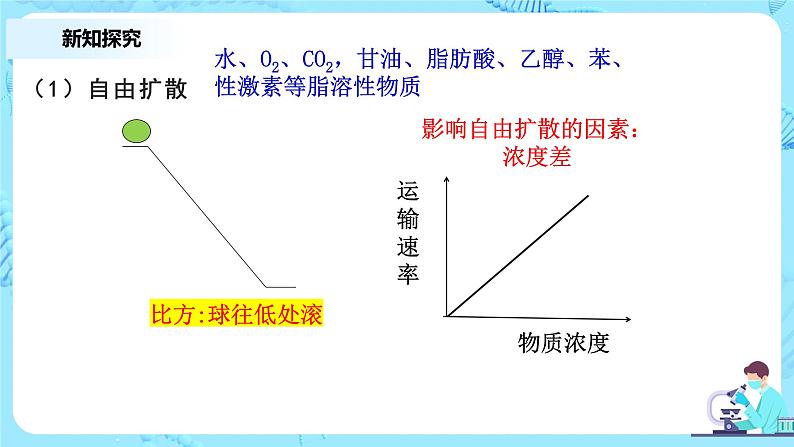 4.1.2《被动运输》第2课时教案+课件+练习06