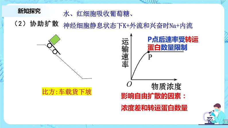 4.1.2《被动运输》第2课时教案+课件+练习07