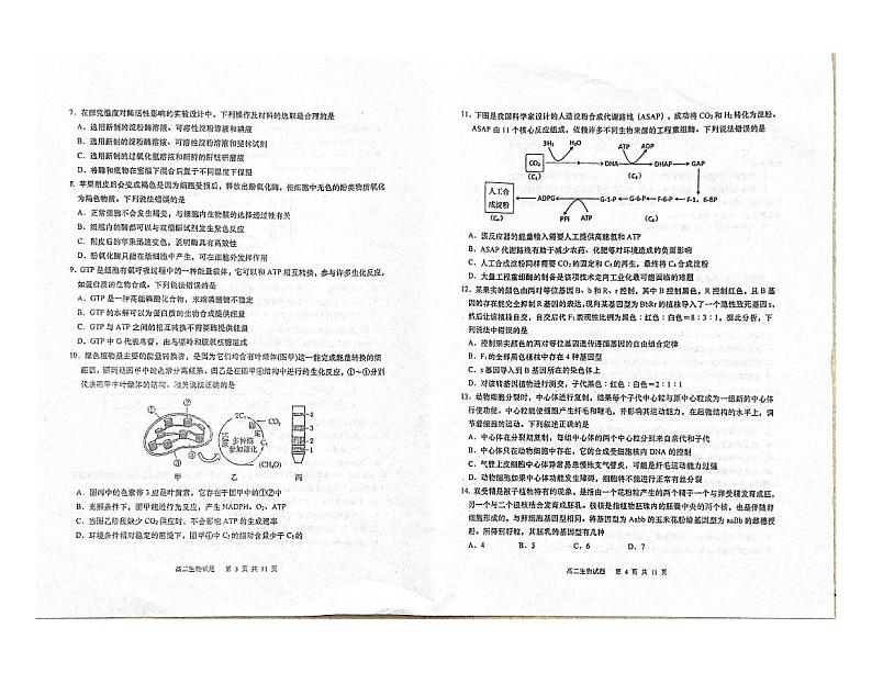 2022青岛莱西高二下学期期末考试生物试题PDF版版无答案02