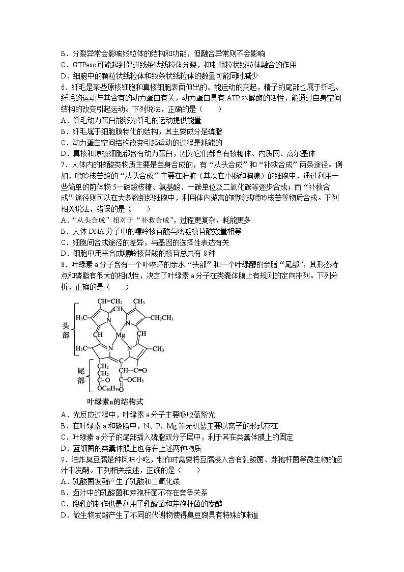 2022枣庄高二下学期期末考试生物试题含答案02