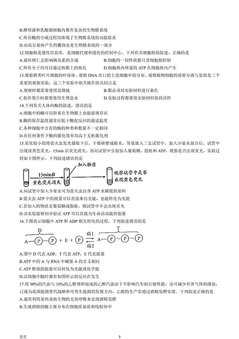 四川省成都市2022-2023学年高三毕业班摸底考试生物试题(无答案)第3页