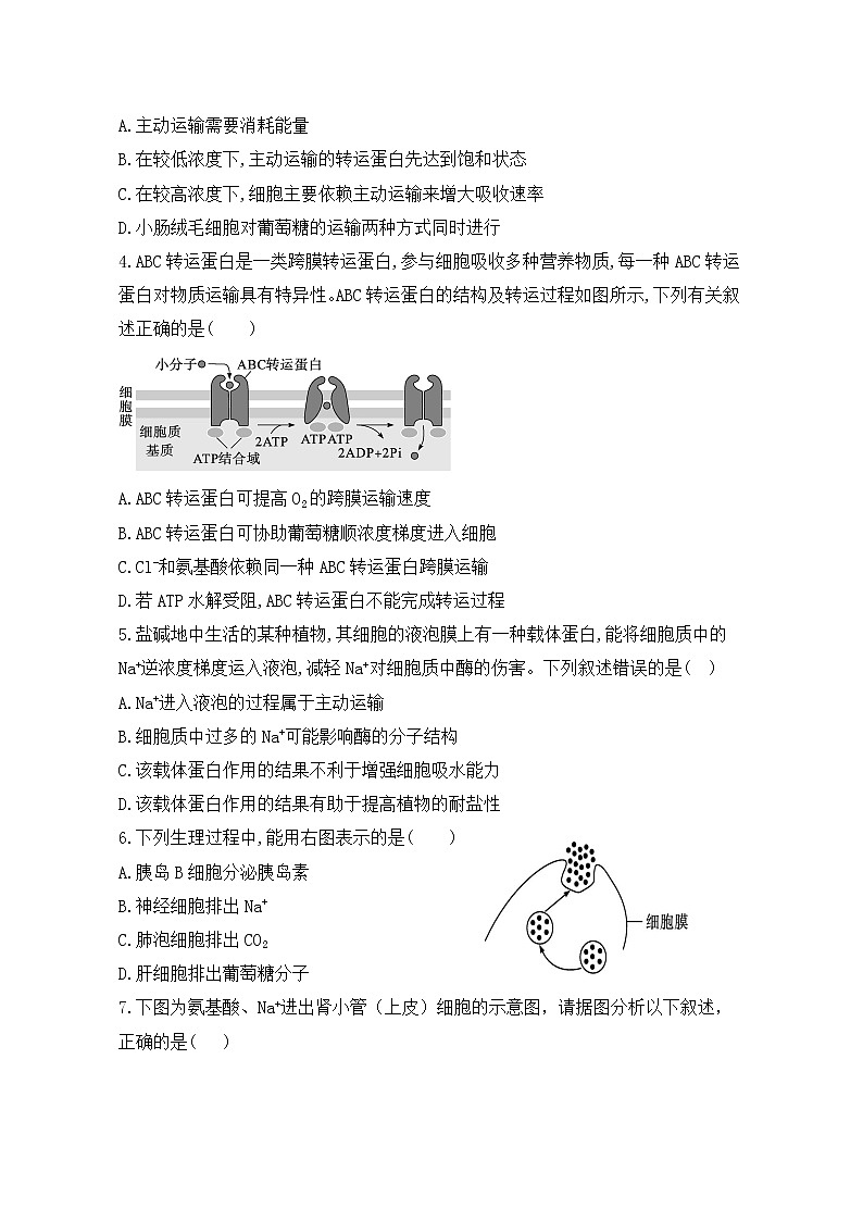 4.2《主动运输与胞吞、胞吐》课件+教案+练习02