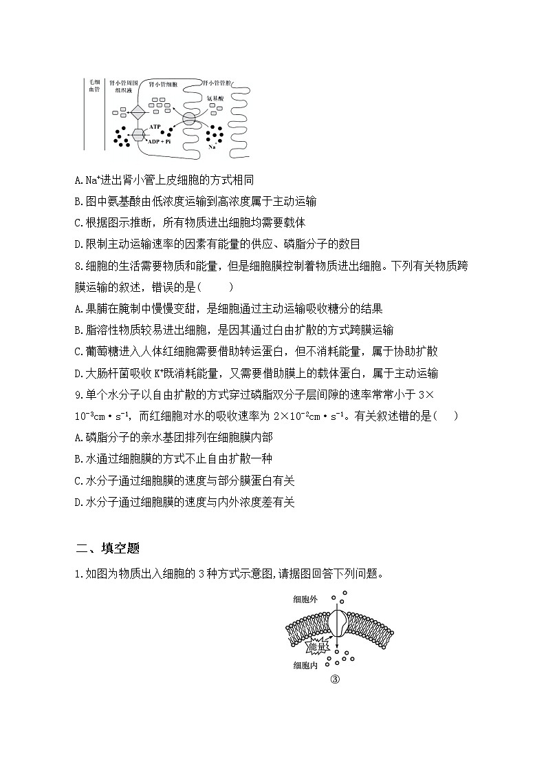 4.2《主动运输与胞吞、胞吐》课件+教案+练习03