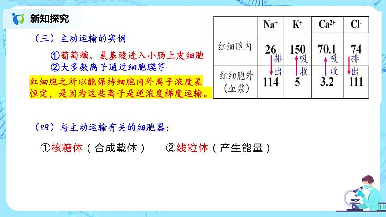 4.2《主动运输与胞吞、胞吐》课件+教案+练习07