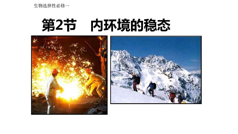 高中生物 内环境的稳态 课件第1页