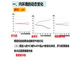 高中生物 内环境的稳态 课件