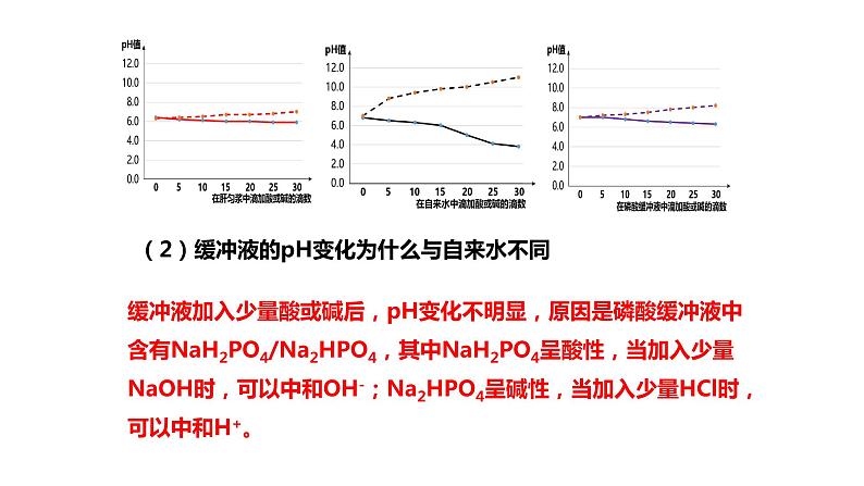 高中生物 内环境的稳态 课件第4页