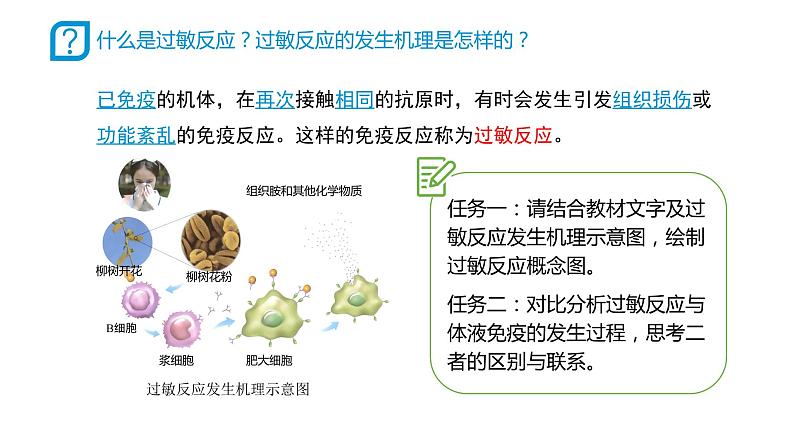 高中生物 免疫失调 课件第6页