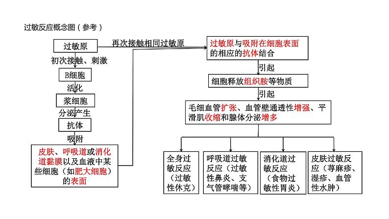 高中生物 免疫失调 课件第7页