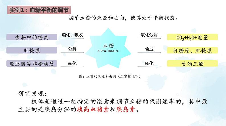 高中生物 激素调节的过程 课件第3页