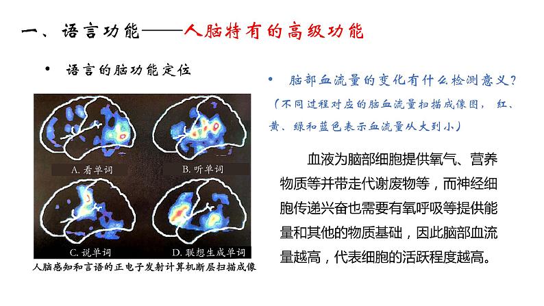 高中生物 人脑的高级功能 课件第5页