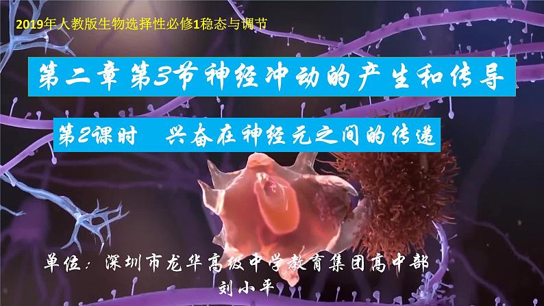 高中生物 神经冲动的产生和传导 兴奋在神经元之间的传递 课件01