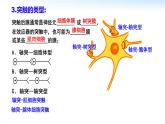 高中生物 神经冲动的产生和传导 兴奋在神经元之间的传递 课件