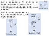 高中生物 神经系统的分级调节 神经系统的分级调节 课件