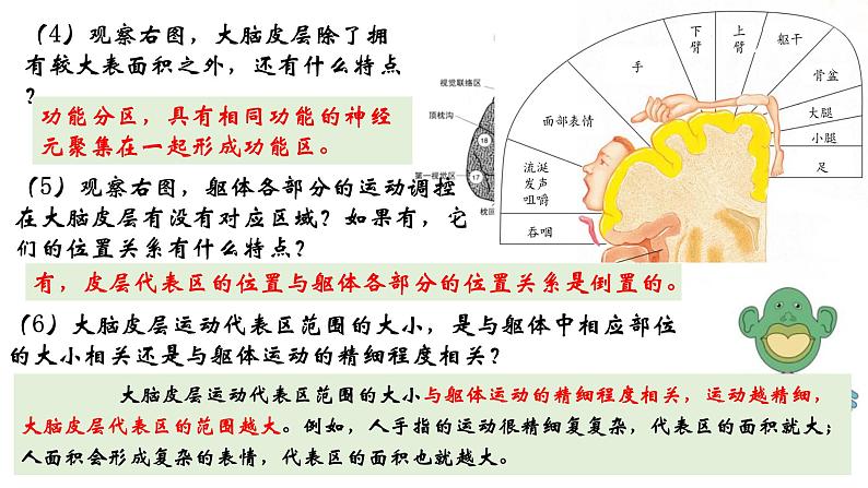 高中生物 神经系统的分级调节 神经系统的分级调节 课件08