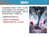 高中生物 免疫失调——免疫调节中的信息错乱 课件