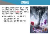 高中生物 免疫失调——免疫调节中的信息错乱 课件