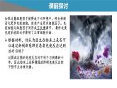 高中生物 免疫失调——免疫调节中的信息错乱 课件