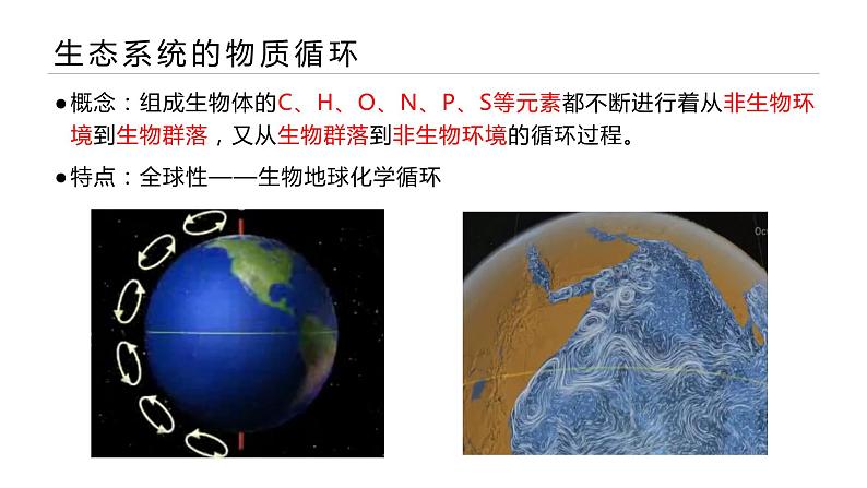 高中生物 生态系统的物质循环（PPT）课件第7页